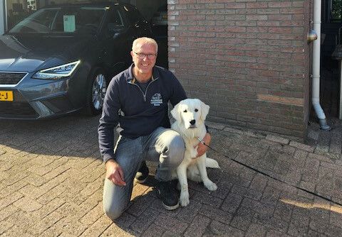 Autoborg Stellingwerf